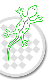 Logo Lezard gourmand