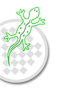 Logo Lezard gourmand